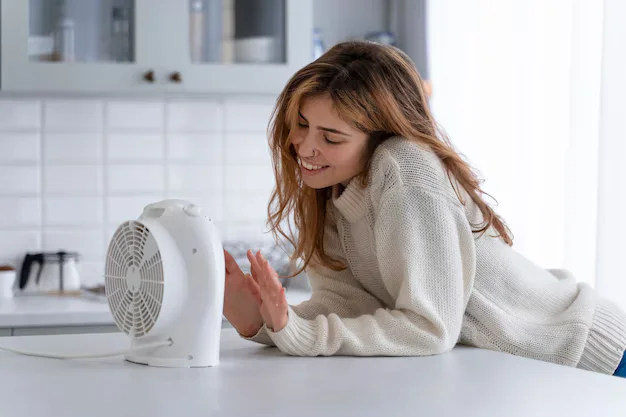 air purifier for allergies