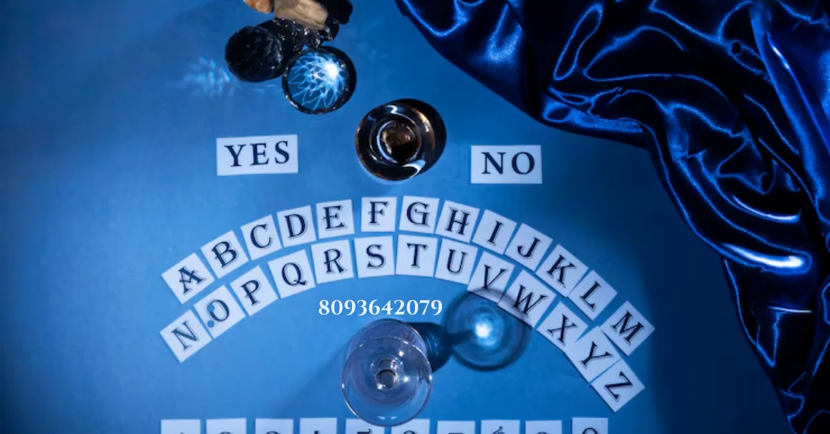 8093642079
