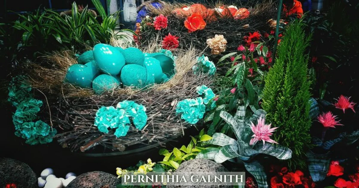pernithia galnith