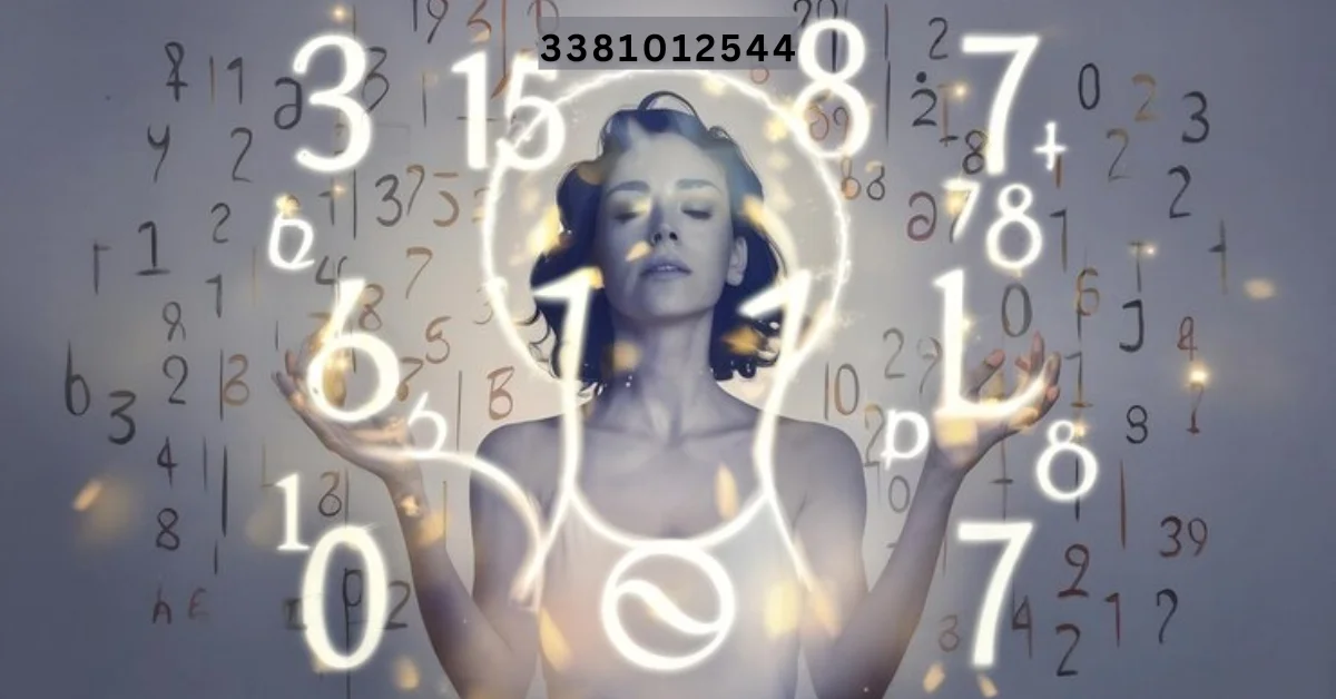 3381012544