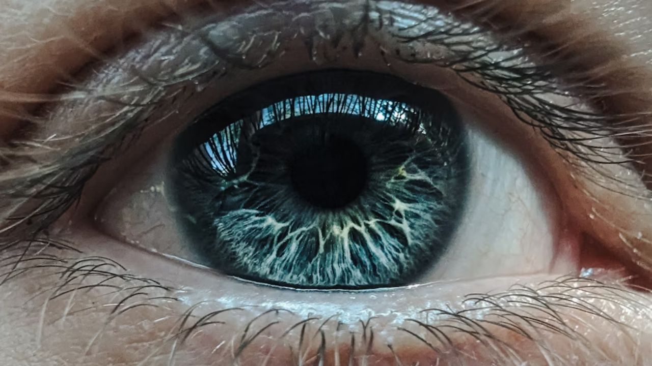 is vowiszojid54 for sensitive eyes