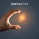 prosecchini