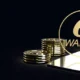 CoinW