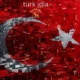 türk idla