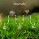 repmold