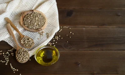 organic hemp seed oil
