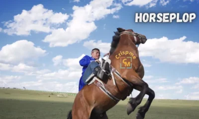 horseplop