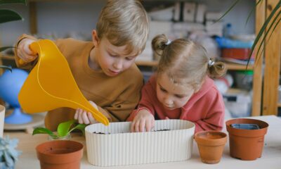 How Early-Stage Startups Can Qualify for AWS Activate