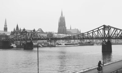 How Eco-Friendly Household Products Are Shaping Safer Home Environments