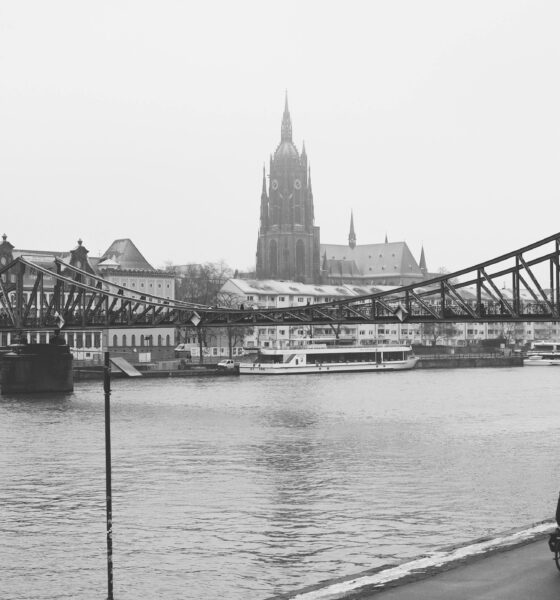 How Eco-Friendly Household Products Are Shaping Safer Home Environments