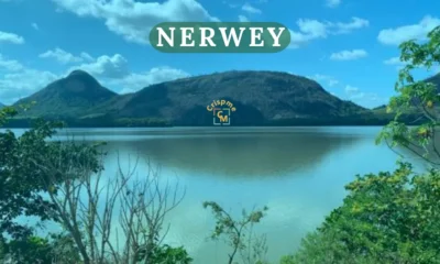 nerwey