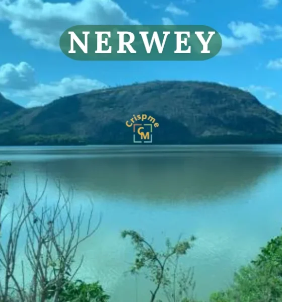 nerwey