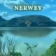 nerwey