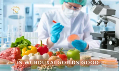 is wurduxalgoilds good